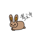 うさぎさん達が好き（個別スタンプ：24）