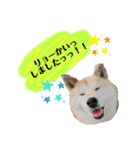 らんとQoo（個別スタンプ：2）