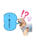 らんとQoo（個別スタンプ：5）