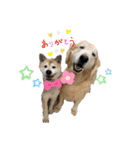 らんとQoo（個別スタンプ：17）