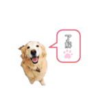 らんとQoo（個別スタンプ：18）
