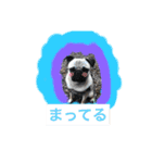 プクプク福蔵（個別スタンプ：4）