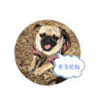 プクプク福蔵（個別スタンプ：9）