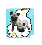 プクプク福蔵（個別スタンプ：14）