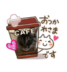 猫ちゃんたちの挨拶（個別スタンプ：3）
