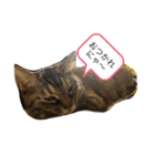 猫ちゃんたちの挨拶（個別スタンプ：8）