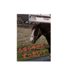 八女弁（個別スタンプ：15）