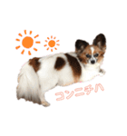 マツイクゥ スタンプ（個別スタンプ：2）