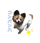 マツイクゥ スタンプ（個別スタンプ：3）