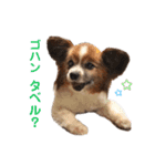 マツイクゥ スタンプ（個別スタンプ：5）