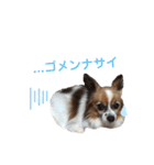 マツイクゥ スタンプ（個別スタンプ：8）