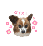マツイクゥ スタンプ（個別スタンプ：16）