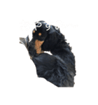 インヌ！（個別スタンプ：10）