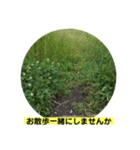 グリーングリーンな日々（個別スタンプ：7）