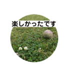 グリーングリーンな日々（個別スタンプ：9）