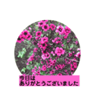 グリーングリーンな日々（個別スタンプ：11）