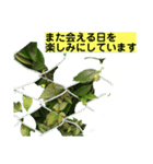 グリーングリーンな日々（個別スタンプ：14）