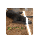 ワイマラナーのブルーノくん（個別スタンプ：6）