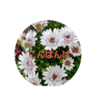 お花にコメント（個別スタンプ：3）