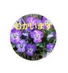 お花にコメント（個別スタンプ：9）