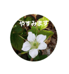お花にコメント（個別スタンプ：14）