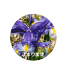 お花にコメント（個別スタンプ：17）
