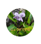 お花にコメント（個別スタンプ：23）