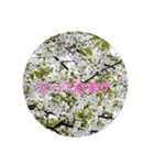 お花にコメント（個別スタンプ：26）