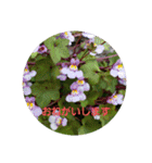 お花にコメント（個別スタンプ：32）