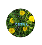 お花にコメント（個別スタンプ：33）