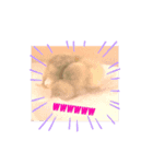 ヒメウズラ（雛）のスタンプ（個別スタンプ：8）