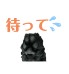 プードルブラックの日常2（個別スタンプ：7）