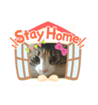 みかんDay（個別スタンプ：1）