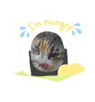 みかんDay（個別スタンプ：2）
