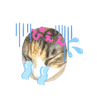 みかんDay（個別スタンプ：6）