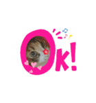 みかんDay（個別スタンプ：7）