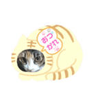 みかんDay（個別スタンプ：10）