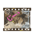 みかんDay（個別スタンプ：15）