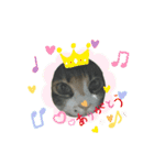 みかんDay（個別スタンプ：16）