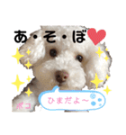 ポコちゃんスタンプ！（個別スタンプ：10）