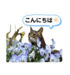 みーちゃんの日常スタンプ2（個別スタンプ：3）