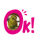 鳥あえずお返事スタンプ（個別スタンプ：4）