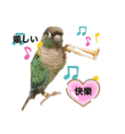 鳥あえずお返事スタンプ（個別スタンプ：7）