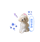 ロコとラテ（個別スタンプ：2）