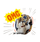 関西猫   てん     KANSAIcat  tenn（個別スタンプ：7）