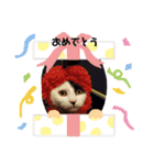 関西猫   てん     KANSAIcat  tenn（個別スタンプ：25）
