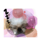 ペキmixはるLove（個別スタンプ：2）