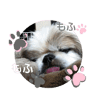 ペキmixはるLove（個別スタンプ：3）