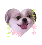 ペキmixはるLove（個別スタンプ：5）