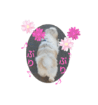 ペキmixはるLove（個別スタンプ：8）